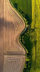 Aerial view harvested field, green vegetation, & yellow field. Winding path cuts thru. Vertical orientation