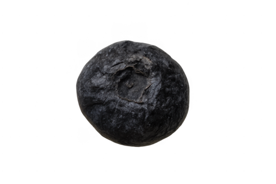 Dried blueberry macro shot with transparent background