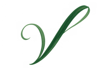 Green plant tendril growing with elegant curve on transparent background, symbolizing nature, growth, and organic design