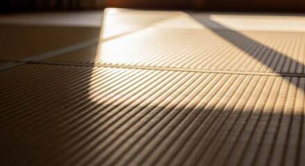Sunlight streams across woven floor mats creating dramatic shadows indoors