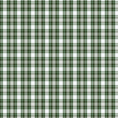 Traditional Hunter Green and White Plaid Tartan Seamless Vector Pattern