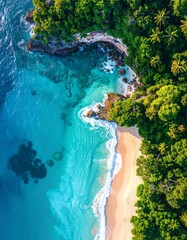 Aerial view of a beautiful beach cove with turquoise water and lush green vegetation