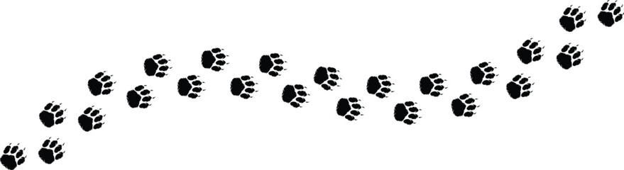 Dog and cat paw print Isolated on transparent background pet footprints, walk tracks, and animal paw vector Illustration. © Hanan