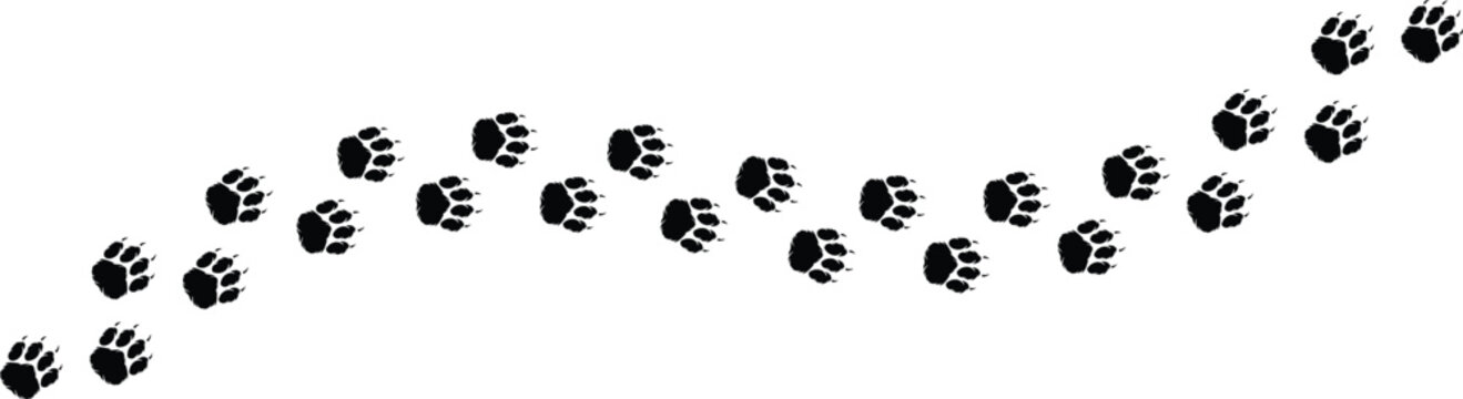 Dog and cat paw print Isolated on transparent background pet footprints, walk tracks, and animal paw vector Illustration.