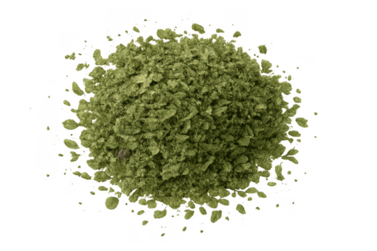 Green foliage tree crown with transparent background