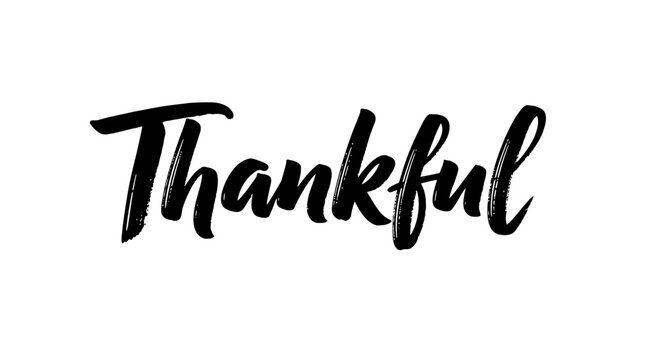 Black brush script text "Thankful" on a clean white background, expressing gratitude and appreciation in a stylish way.