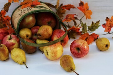 Herring, raw fish on a plate
