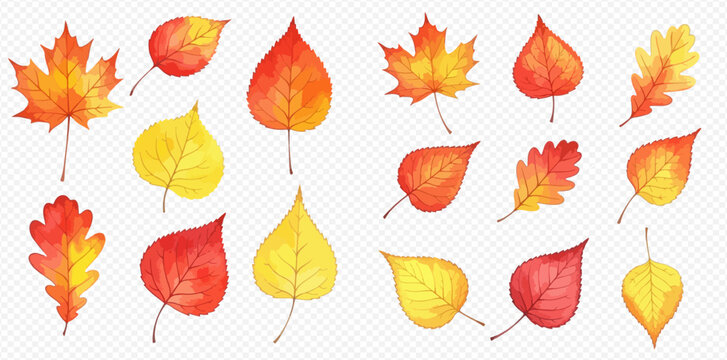 A collection of vibrant watercolor autumn leaves in various shapes and colors, perfect for fall designs and seasonal decorations.