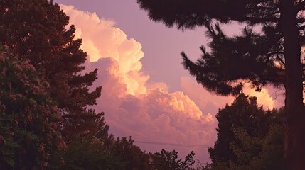 Stunning Sunset with Vibrant Clouds and Silhouetted Trees