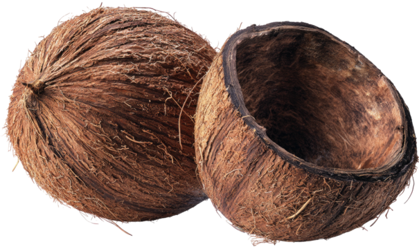 A whole coconut shell and a cracked open half shell
