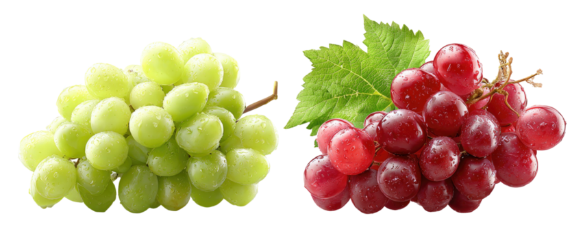 Two bunches of grapes, one green and one red