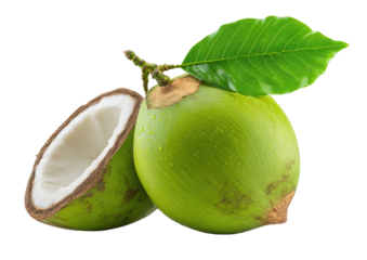 Fresh green coconut with leaf, cut half revealing white flesh