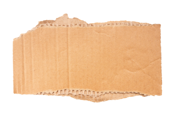 torn cardboard box isolated on white background