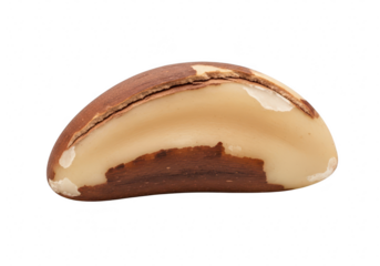 Closeup of a single brazil nut, showcasing its smooth texture and rich brown and cream colors isolated on transparent background