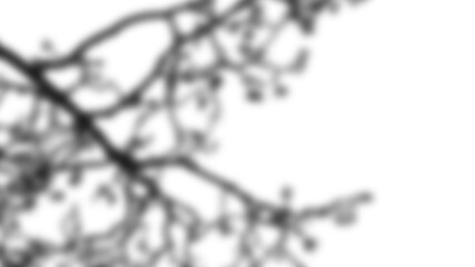 Minimalist plain black empty studio abstract surface texture