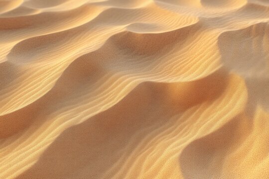 sunlit rippled sand dunes with smooth undulating ridges and warm golden tones, serene and tranquil desert texture