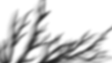 A plain black surface, abstract textured deep dark backdrop