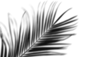 Solid black empty background texture, dark, blank, copy space