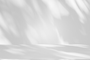 Obraz premium Wall interior background, studio and backdrops show products.with shadow from window color white and grey. background for text insertion and presentation product 