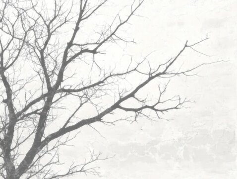 Bare leafless tree branches silhouetted against a pale textured sky, stark and melancholic winter scene