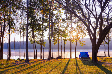 Camping under tree Beautiful morning sunrise at Mae Puem National Park in Phayao, Thailand