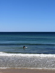 rear view of man wearing wetsuit entering ocean with surfboard wading through water going for a surf on a sunny day against clear blue sky with space for text