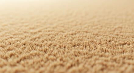 Experience the soft, inviting texture of this luxurious beige carpet, adding warmth and comfort to any room, perfect for a cozy interior design or a relaxing home environment