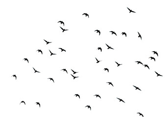 Fototapeta premium Geometric shapes pattern isolated on transparent background