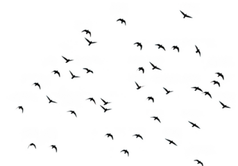 Geometric shapes pattern isolated on transparent background