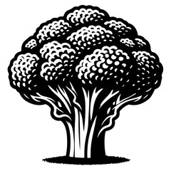 Illustration of a broccoli head with detailed florets and thick stalk in black and white style art