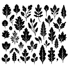 Collection of various black silhouette leaves and branches on a white background in a vector format