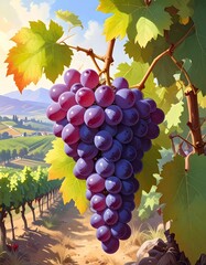 Ripe Grapes in Vineyard - A Taste of Tuscanys Bounty.