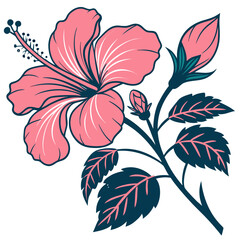 Illustration of a pink hibiscus flower with buds and leaves, isolated on, showcasing its vibrant color and intricate details in a botanical style