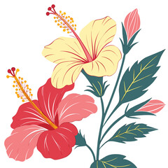 Illustration of hibiscus flowers in red and yellow with buds and leaves, isolated on, showcasing their vibrant colors and intricate botanical details
