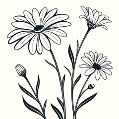 Illustration of a bouquet of daisies isolated on, with delicate petals and stems, creating a simple and elegant floral arrangement