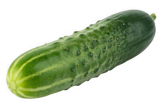 Fresh green pickle cucumber isolated on transparent background