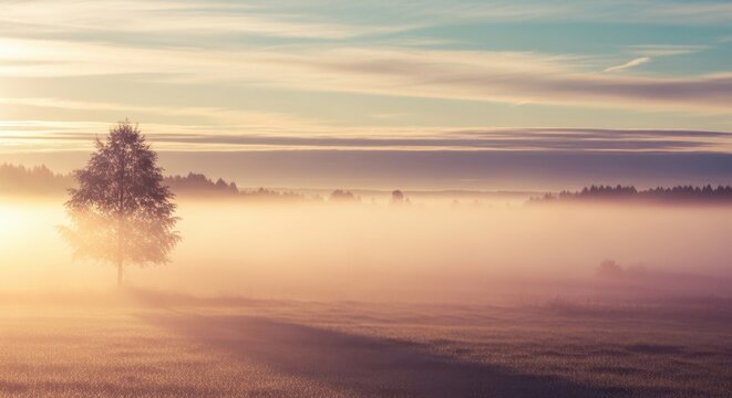 Serene Dawn Landscape with Misty Fields and solitary tree under colorful sky - Powered by Adobe