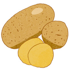 0026-PNG-Vegetable-Potato-Colored Pencil