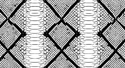 Snake skin pattern texture black and white design.