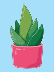 Smooth Leaf Succulent or Aloe Plant in Bright Pink Pot on Blue Background Illustration