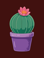Flowering Green Barrel Cactus with Pink Bloom in Purple Pot on Dark Background