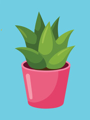 Spiky Aloe Vera or Agave Succulent in Pink Pot on Blue Background Illustration