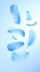 Soft, ethereal image showing several light blue feathers floating against a bright, gradient background