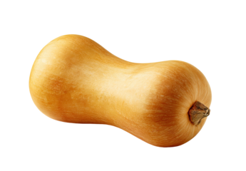 Single butternut squash on a dark background
