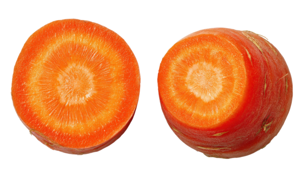Two bright orange carrot sections show cross-sections of rings