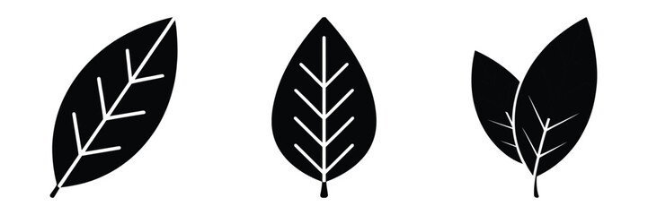 bay leaf minimal food icon set, black color and white background