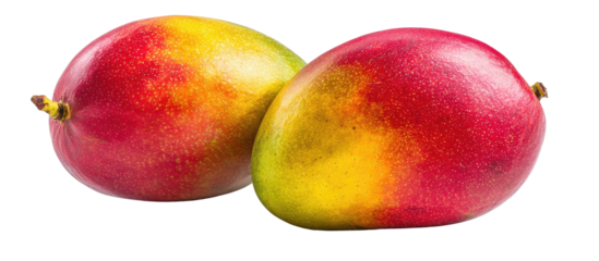 Two ripe mangoes with vibrant red and yellow hues