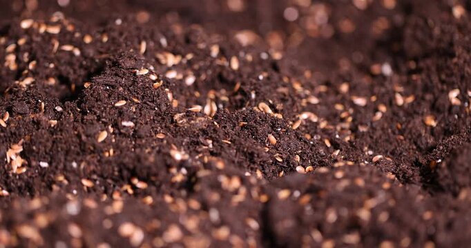 brown fertile soil with the addition of ripe flax seeds to obtain a new crop, a lot of brown flax seeds scattered on brown soil in the field to harvest flax for industrial use