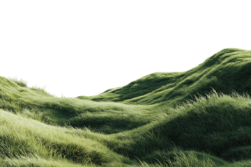 Rolling grassy hills with long, green blades are seen against a stark black background