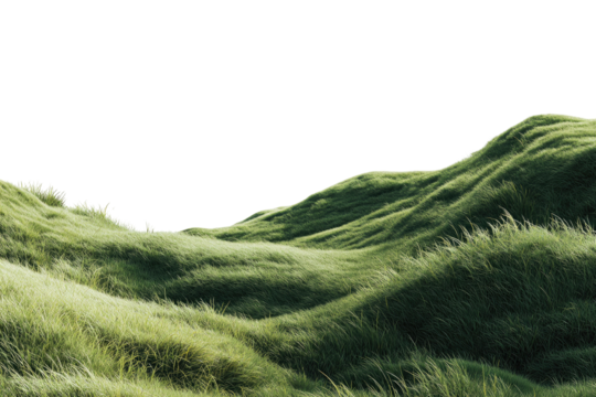Rolling grassy hills with long, green blades are seen against a stark black background